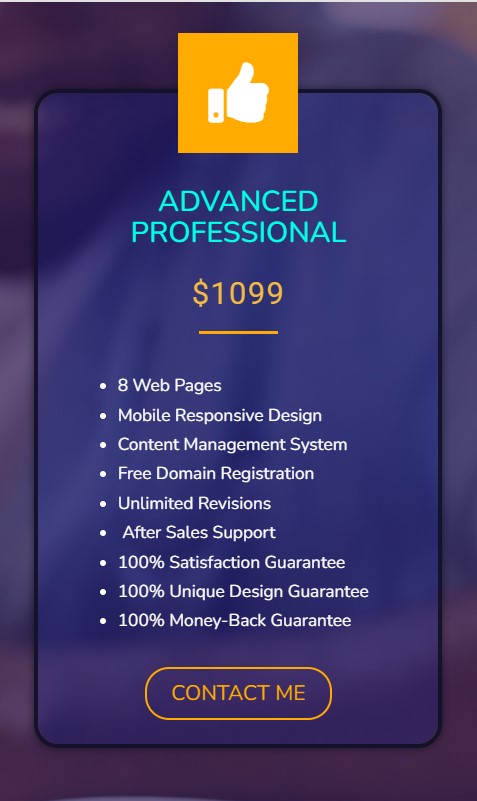 ADVANCED PROFESSIONAL WEBSITE